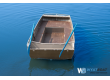 Wyatboat-390